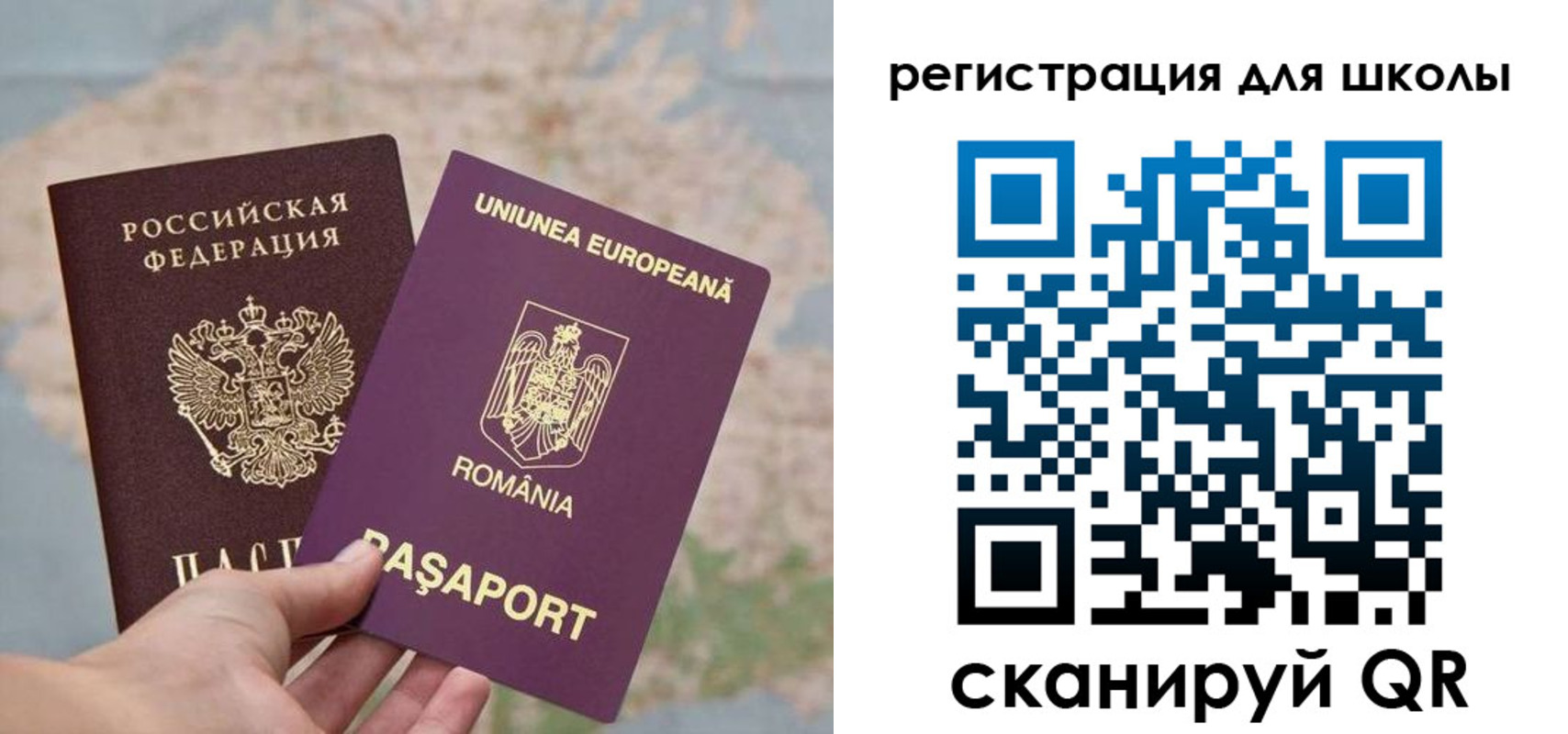 временная прописка в Ногинске